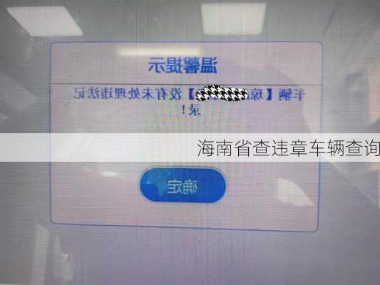 海南省查违章车辆查询