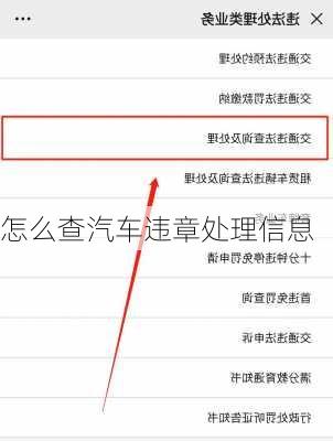 怎么查汽车违章处理信息