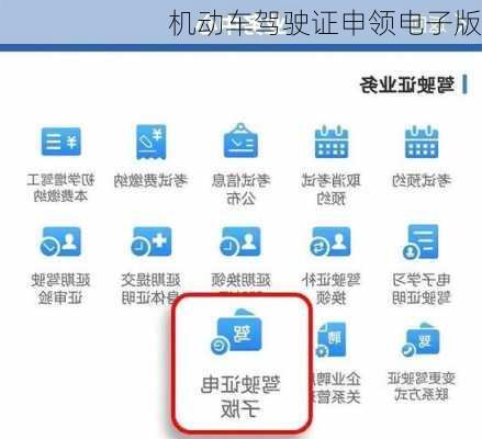 机动车驾驶证申领电子版
