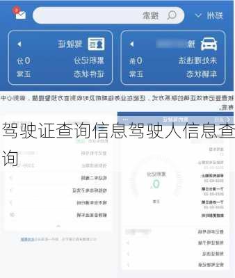 驾驶证查询信息驾驶人信息查询