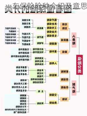 车保险险种介绍及意思