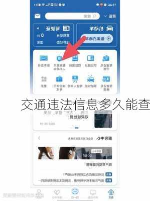 交通违法信息多久能查