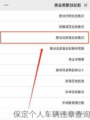 保定个人车辆违章查询