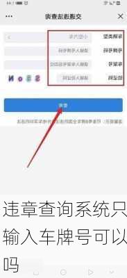 违章查询系统只输入车牌号可以吗