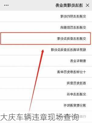 大庆车辆违章现场查询