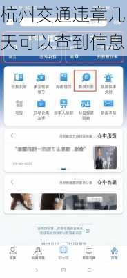 杭州交通违章几天可以查到信息