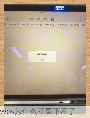 wps为什么苹果下不了