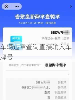 车辆违章查询直接输入车牌号