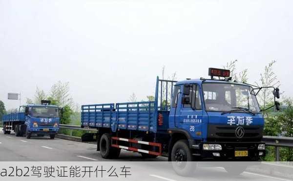 a2b2驾驶证能开什么车