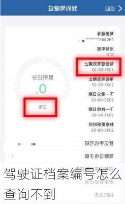 驾驶证档案编号怎么查询不到