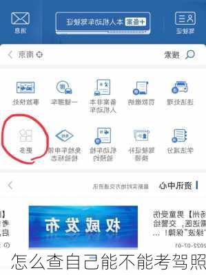 怎么查自己能不能考驾照