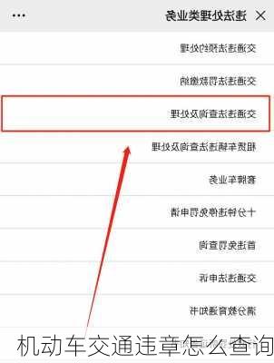 机动车交通违章怎么查询