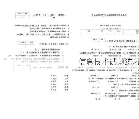 信息技术试题练习