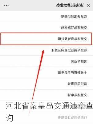 河北省秦皇岛交通违章查询