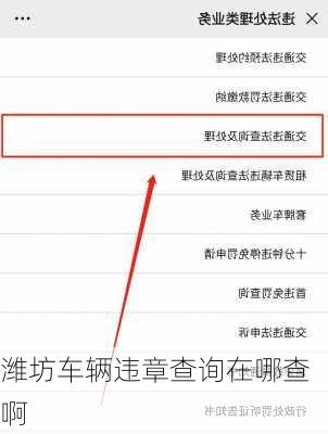 潍坊车辆违章查询在哪查啊