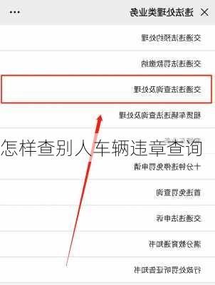 怎样查别人车辆违章查询